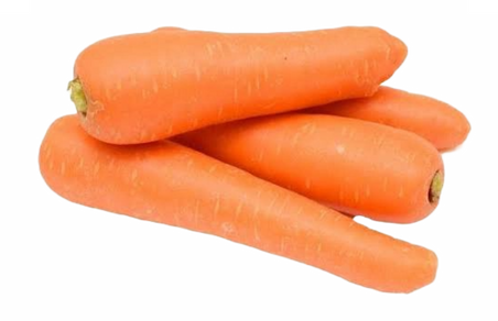 wortel - carrot